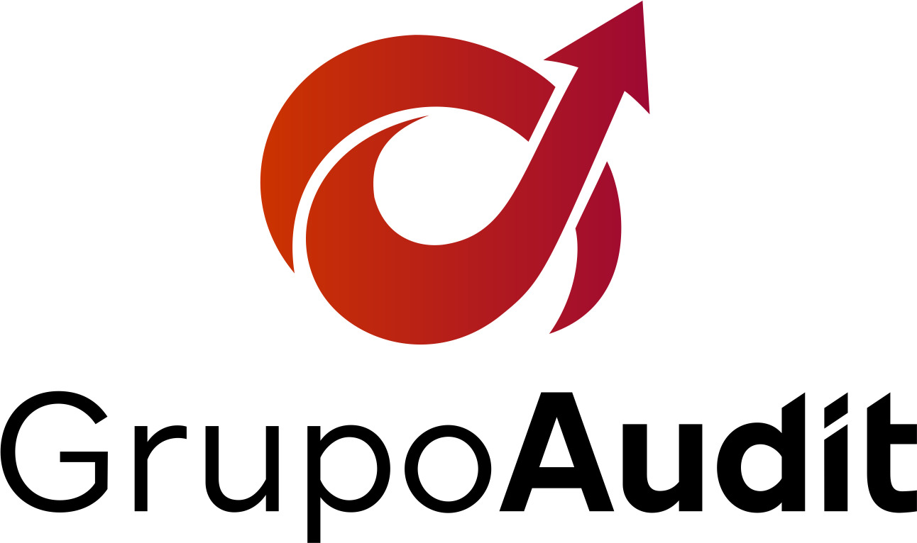 Grupo Audit